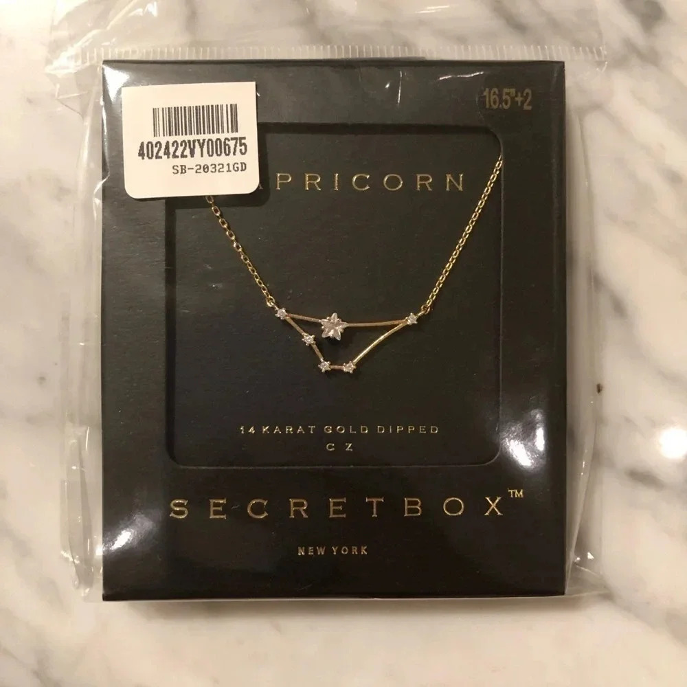 Capricorn 14k gold dipped necklace - Astrology Zodiac - Picture 4 of 4